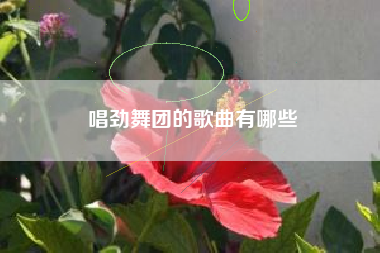 唱劲舞团的歌曲有哪些