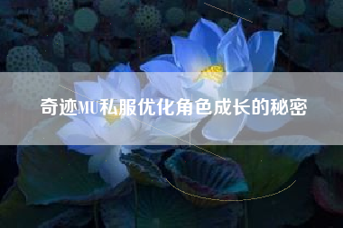 奇迹MU私服优化角色成长的秘密