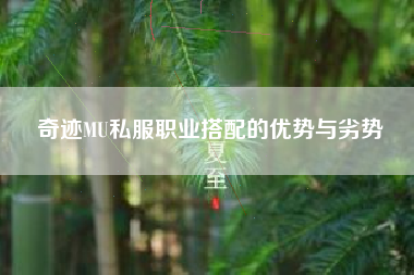 奇迹MU私服职业搭配的优势与劣势