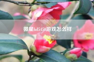 微星hd5450游戏怎么样