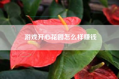 游戏开心花园怎么样赚钱