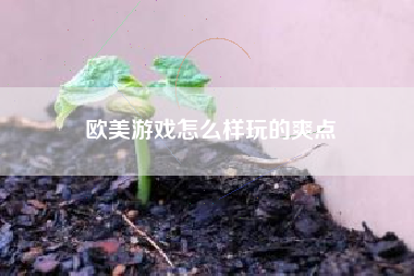 欧美游戏怎么样玩的爽点