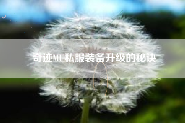 奇迹MU私服装备升级的秘诀