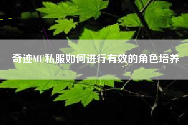 奇迹MU私服如何进行有效的角色培养