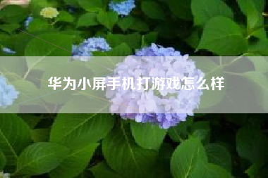 华为小屏手机打游戏怎么样