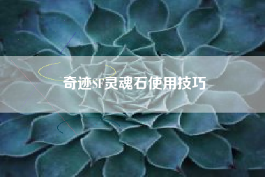 奇迹SF灵魂石使用技巧