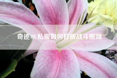 奇迹MU私服如何打破战斗瓶颈