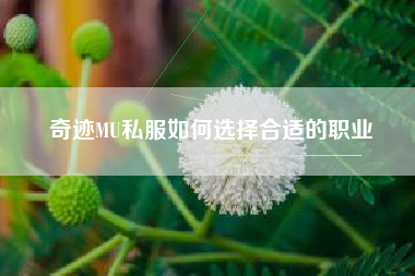 奇迹MU私服如何选择合适的职业