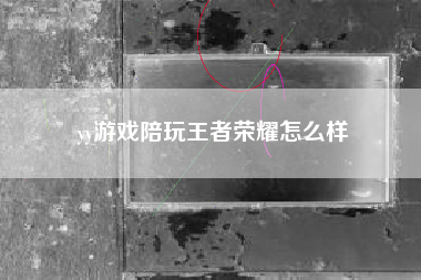 yy游戏陪玩王者荣耀怎么样