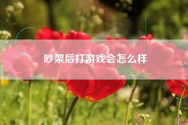 吵架后打游戏会怎么样