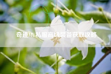 奇迹MU私服高级装备获取攻略