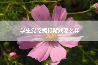 学生党吃鸡打游戏怎么样