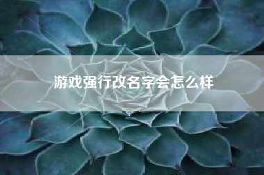 游戏强行改名字会怎么样