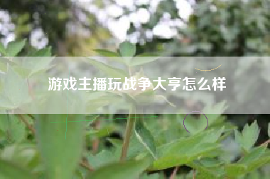 游戏主播玩战争大亨怎么样