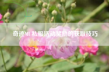 奇迹MU私服活动奖励的获取技巧