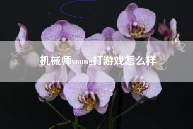 机械师young打游戏怎么样