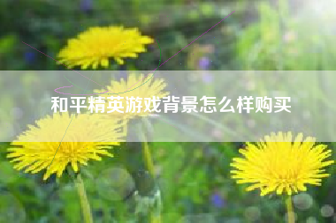 和平精英游戏背景怎么样购买