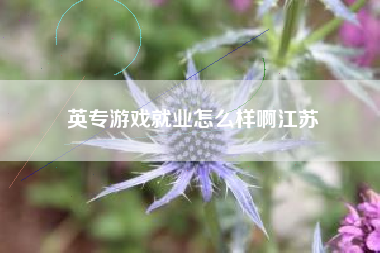 英专游戏就业怎么样啊江苏