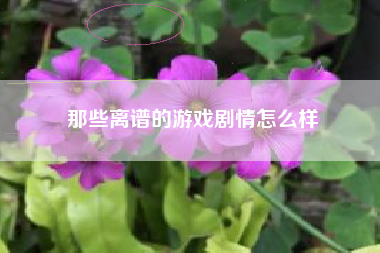 那些离谱的游戏剧情怎么样