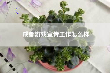 成都游戏宣传工作怎么样