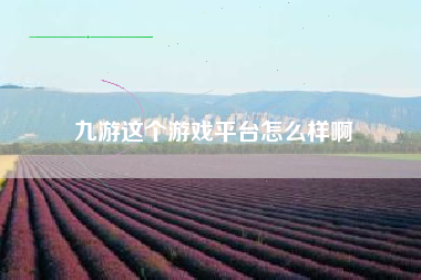 九游这个游戏平台怎么样啊