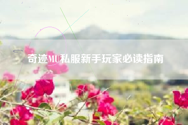 奇迹MU私服新手玩家必读指南