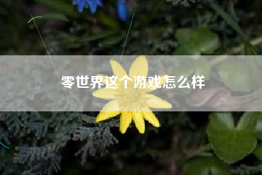 零世界这个游戏怎么样