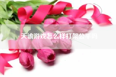 天谕游戏怎么样打架公平吗