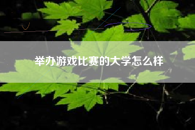 举办游戏比赛的大学怎么样