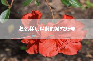 怎么样玩以前的游戏账号