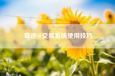 奇迹SF交易系统使用技巧