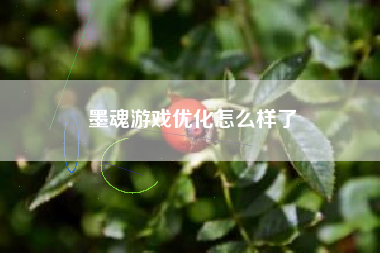 墨魂游戏优化怎么样了