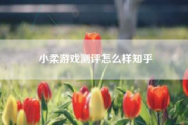 小柔游戏测评怎么样知乎