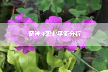 奇迹SF职业平衡分析