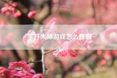 学打大师游戏怎么样啊