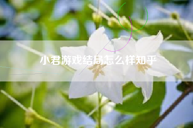 小君游戏结局怎么样知乎