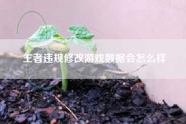 王者违规修改游戏数据会怎么样