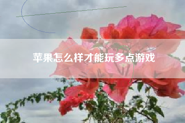 苹果怎么样才能玩多点游戏