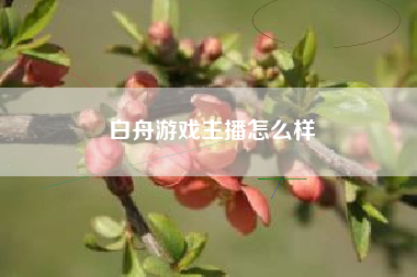 白舟游戏主播怎么样