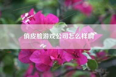 俏皮脸游戏公司怎么样啊