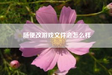 随便改游戏文件会怎么样