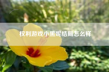 权利游戏小黑妮结局怎么样