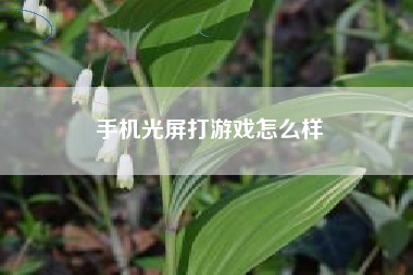 手机光屏打游戏怎么样