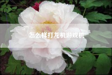 怎么样打龙机游戏机