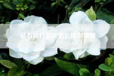 钻石鼠打游戏怎么样啊视频