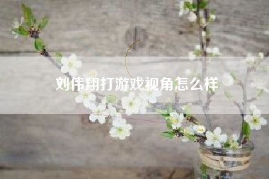 刘伟翔打游戏视角怎么样
