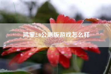 鸿蒙2.0公测版游戏怎么样