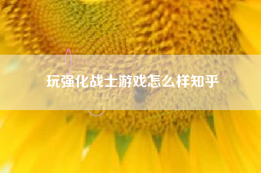 玩强化战士游戏怎么样知乎