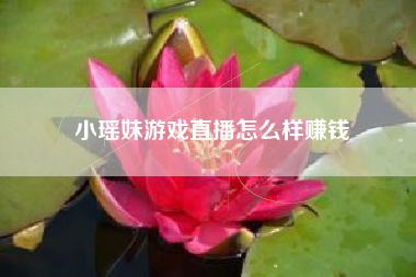 小瑶妹游戏直播怎么样赚钱