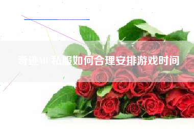 奇迹MU私服如何合理安排游戏时间